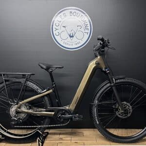 Giant Anytour X E+ 1 Taille S et M