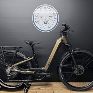 Giant Anytour X E+ 1 Taille S et M